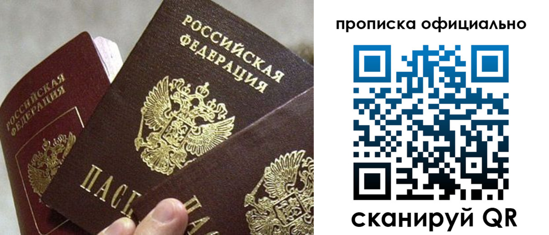 прописка гарантия в Новом Осколе